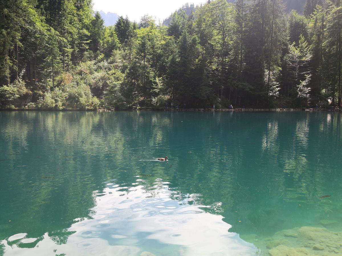 Blausee turquoise lake Switzerland