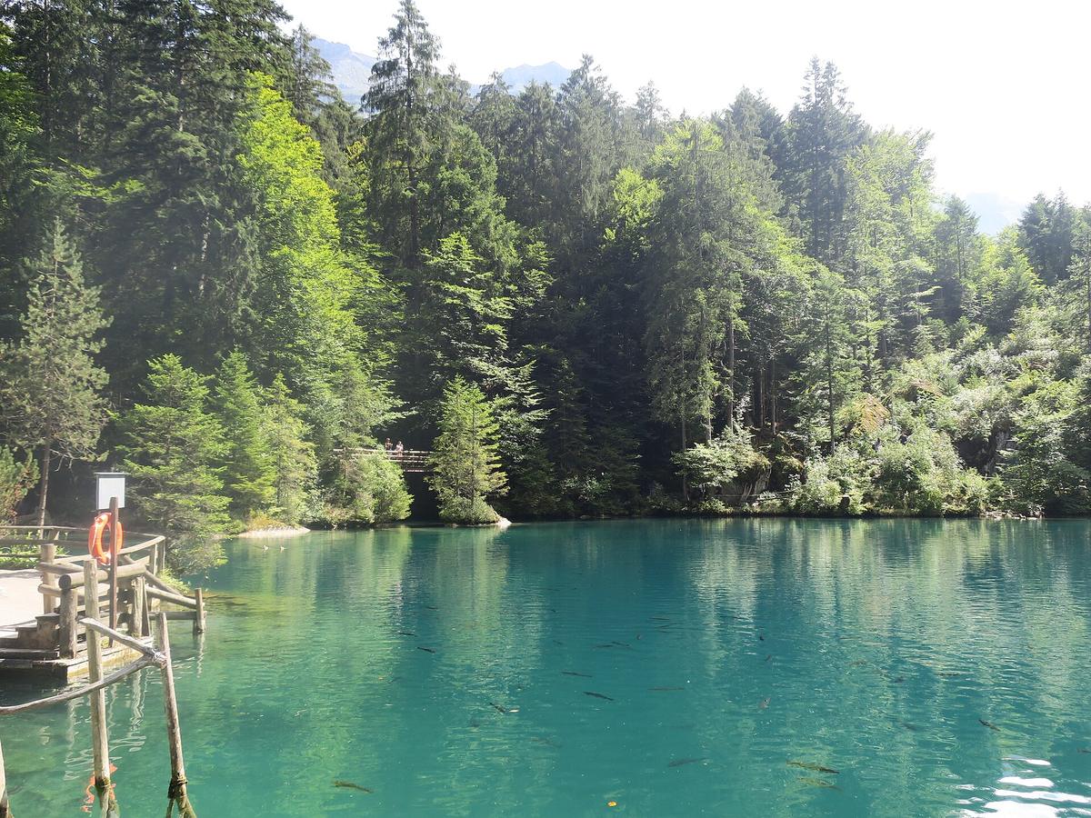 Blausee small blue forest