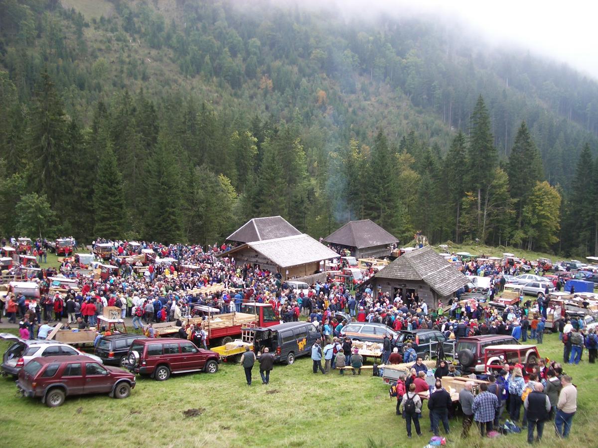 Alpkäse Schweiz