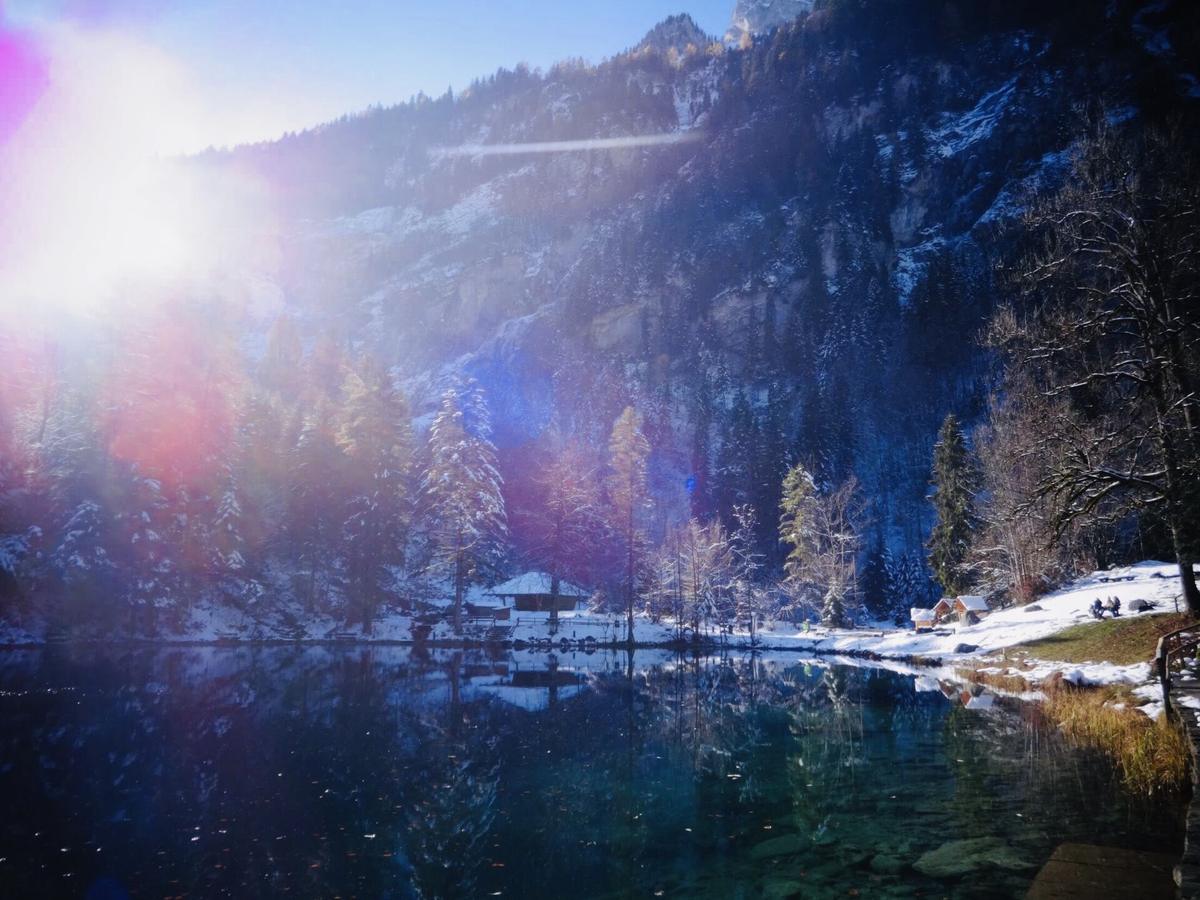 Blausee clear water trees