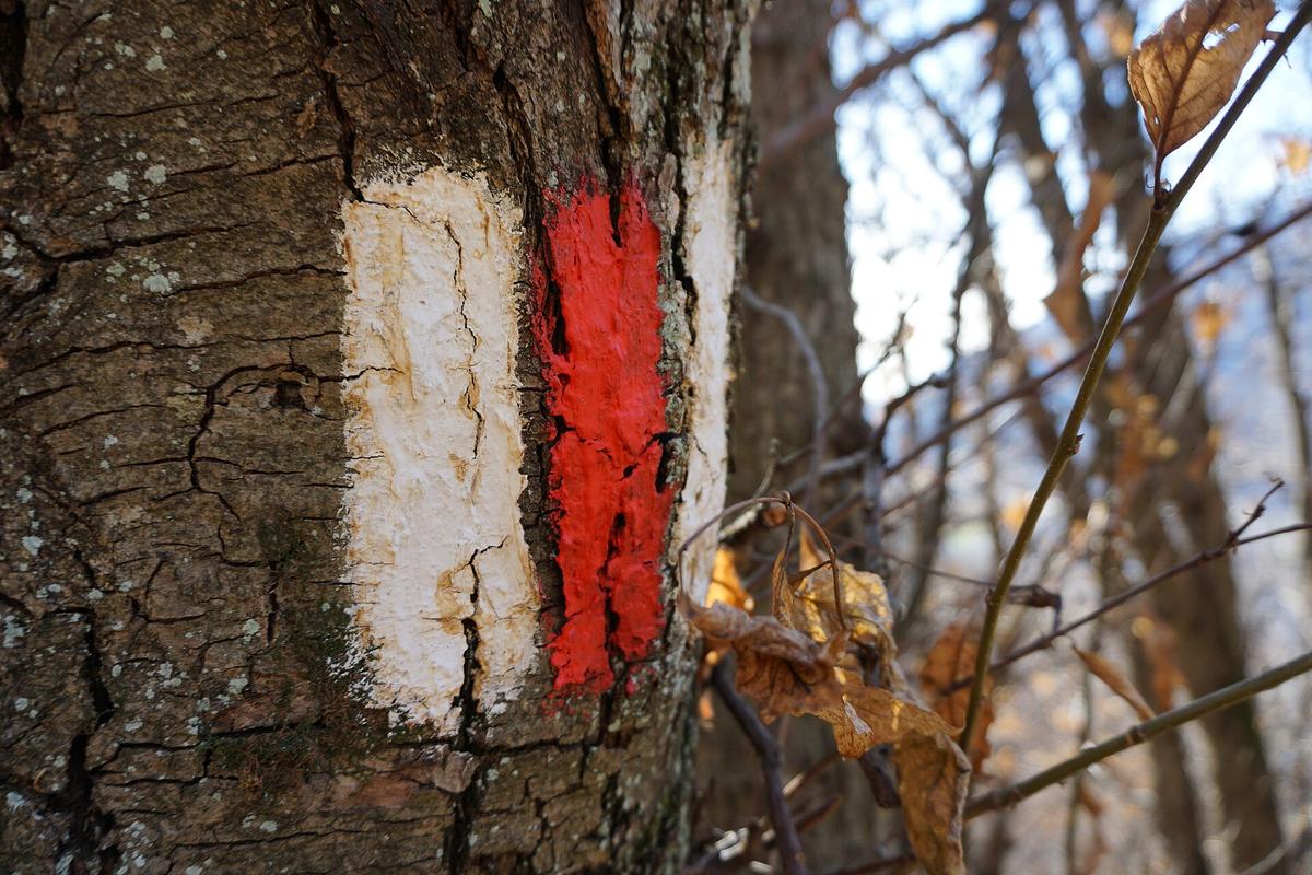Bergwanderweg weiss rot Markierung