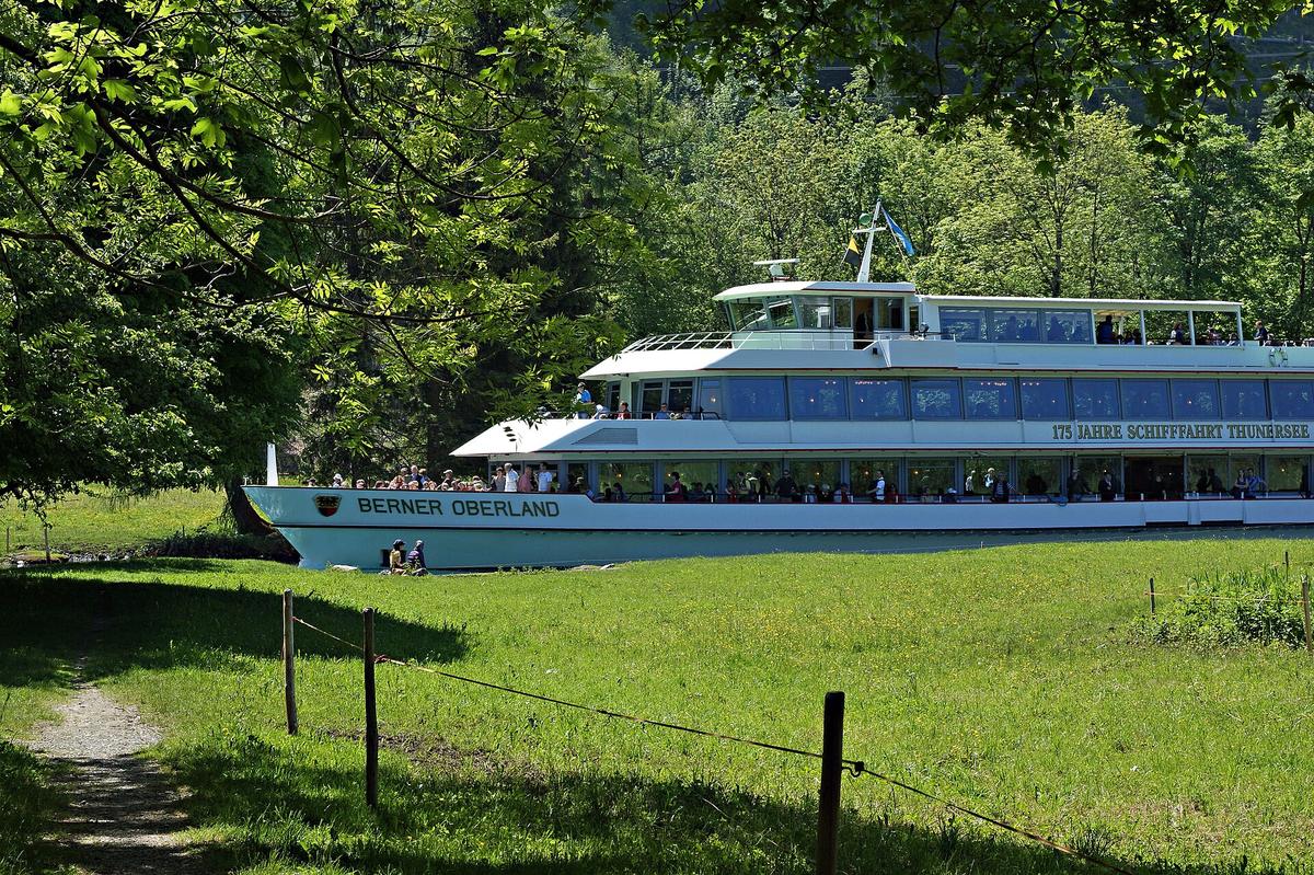 Thunersee Schiff Berner Oberland